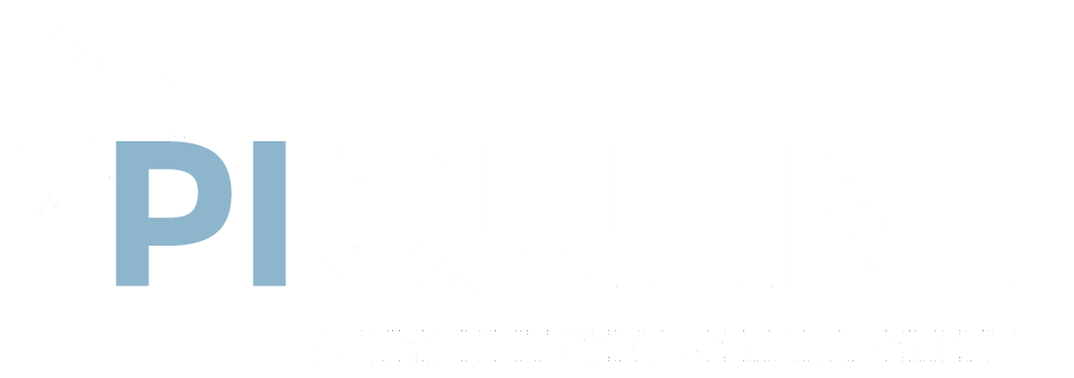 Pi-Quant Logo